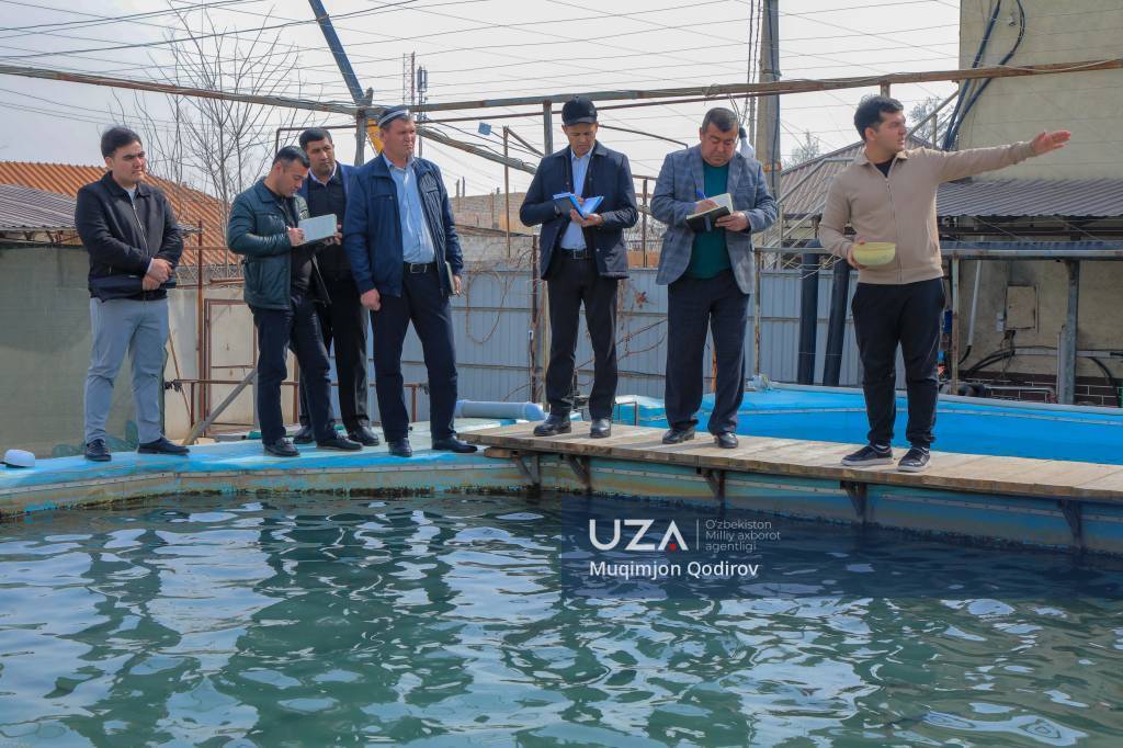 Перспективные проекты в сфере сельского хозяйства