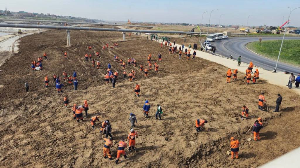 Табиат ва урбанизация уйғунлиги