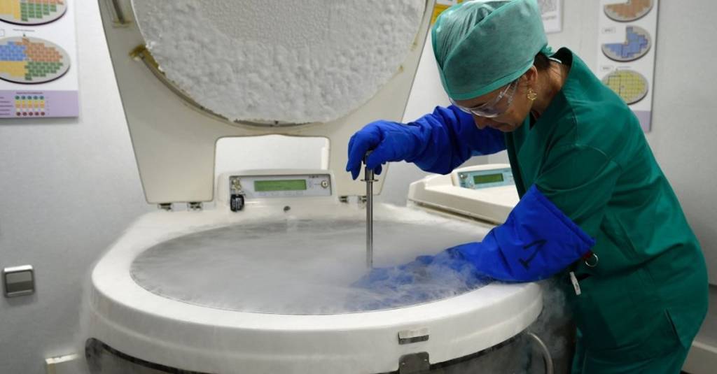 Мозг пережил глубокую заморозку 