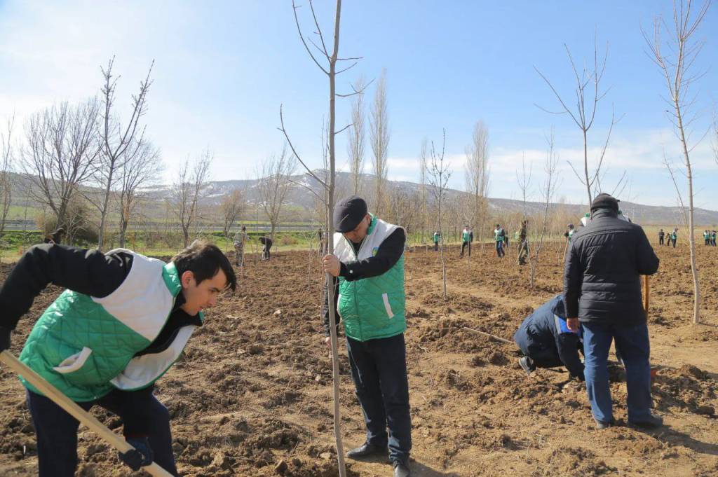 Тошкент вилояти хабарлари – қисқа сатрларда