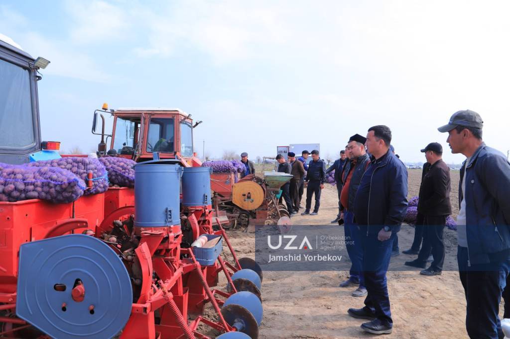 Два урожая в год