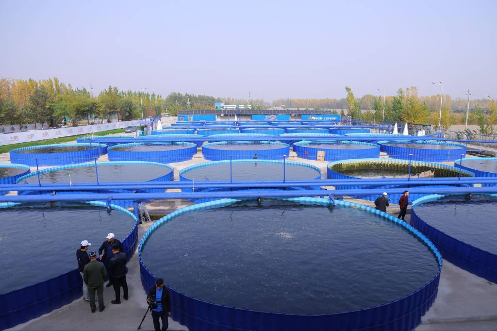 Балиқчилик оилаларга барака келтиради