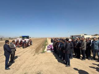 Қизилтепада чигит экиш бошланди