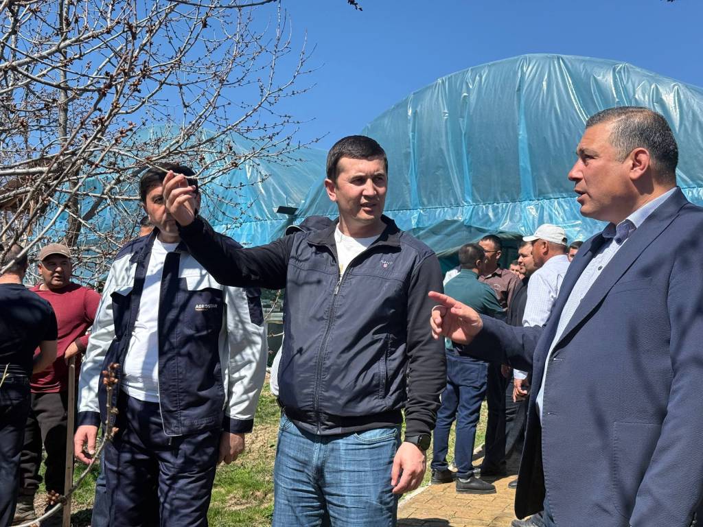 Har qarich yer  daromad manbai