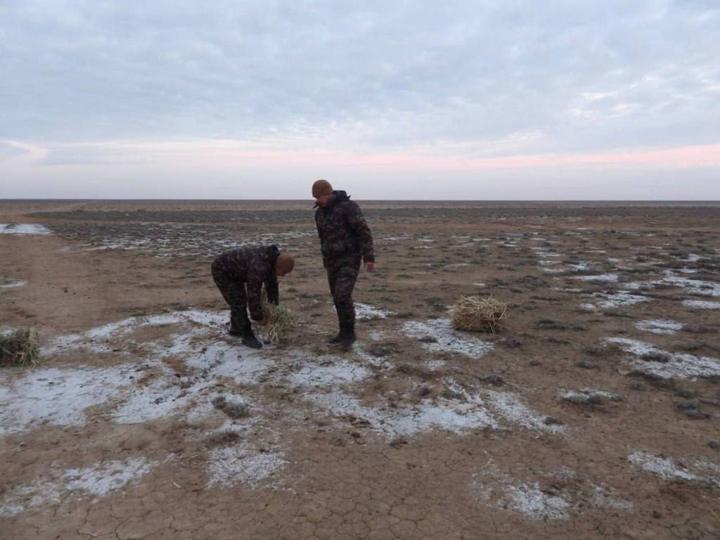 Муҳофаза ҳудудларида биотехник тадбирлар давом эттирилмоқда