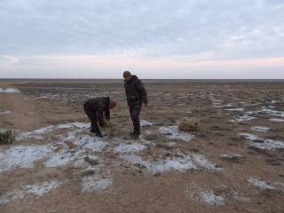 Муҳофаза ҳудудларида биотехник тадбирлар давом эттирилмоқда