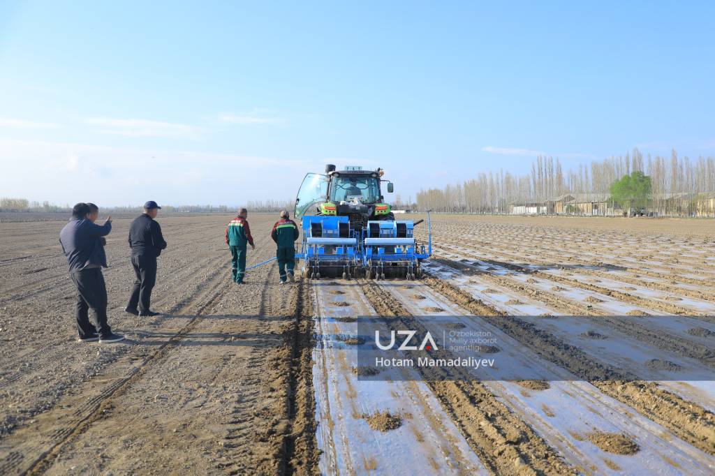 Пахта етиштиришда юқори ҳосилдорликка эришишнинг муҳим омилларига эътибор қаратилди