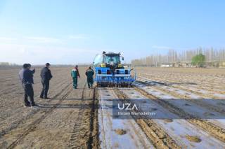 Paxta yetishtirishda yuqori hosildorlikka erishishning muhim omillariga e’tibor qaratildi