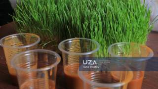 “Sumalak party”да миллий қадриятлар тарғиб этилди