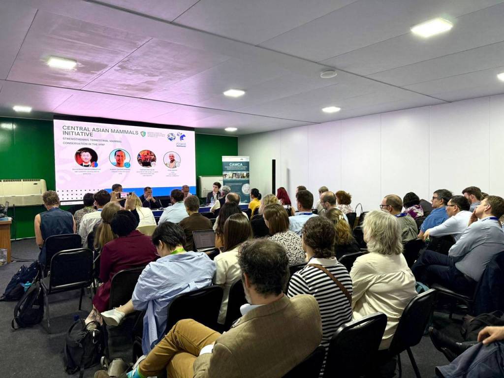 O‘zbekiston CMS COP15 doirasida Markaziy Osiyo sutemizuvchilarini asrash tashabbusini taqdim etdi