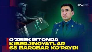 Endi moliyaviy piramida tashkil etganlar 7-15 yilgacha ozodlikdan mahrum etiladi(+video)