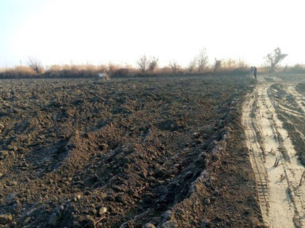 Бухорода қишлоқ хўжалиги ерларидан ноқонуний фойдаланиш ҳолатлари аниқланмоқда