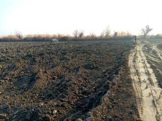 Бухорода қишлоқ хўжалиги ерларидан ноқонуний фойдаланиш ҳолатлари аниқланмоқда