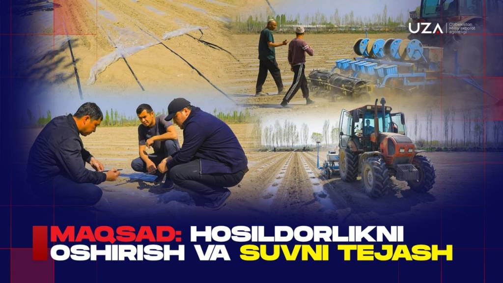 Maqsad: hosildorlikni oshirish va suvni tejash (+video)