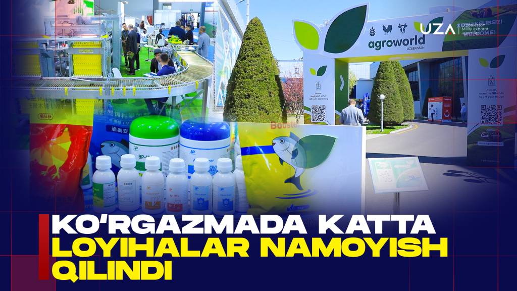 Ko‘rgazmada katta loyihalar namoyish qilindi (+video)