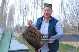 Ёшларга билим ва ерга меҳр улашиб