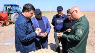 Дала ишлари қизғин паллага кирди