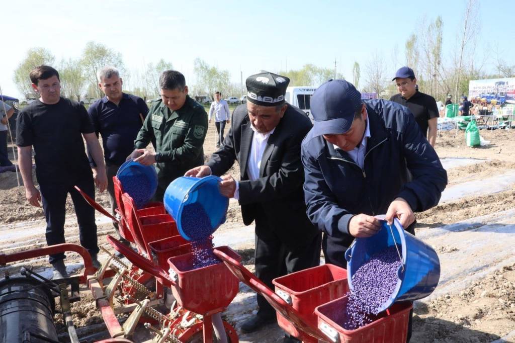 Чигит экишга киришилди