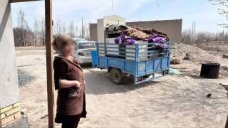 МИБ: келиннинг мулклари қайтарилди