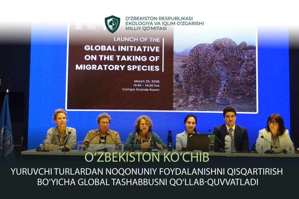 Ўзбекистон кўчиб юрувчи ҳайвон турларини асраш йўлидаги халқаро ташаббусга қўшилди