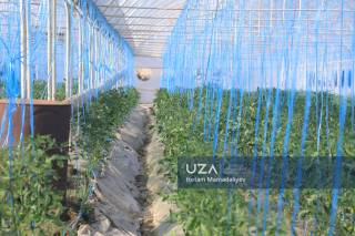 Ҳар қарич ер — барқарор даромад манбаи