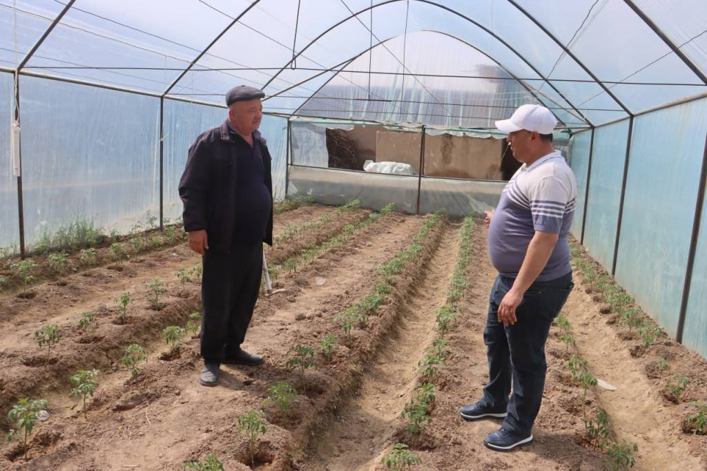 Меҳнатидан барака топмоқда