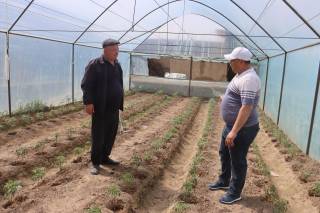 Меҳнатидан барака топмоқда