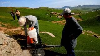 Chigirtkaga qarshi kurashda tezkorlik va hamjihatlik muhim omil