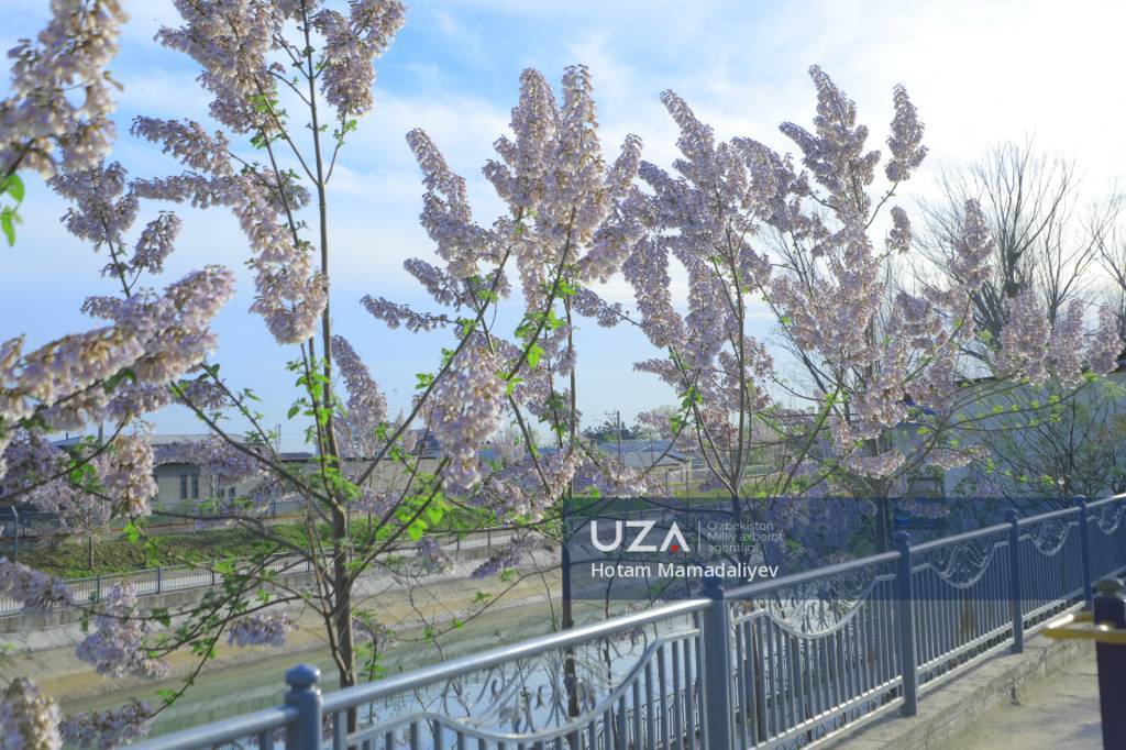 Наманган готовится к празднику цветов