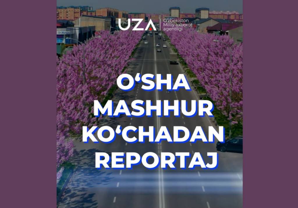 O‘sha mashhur ko‘chadan reportaj: poytaxtdagi “mo‘’jizaviy daraxtlar” (+video)