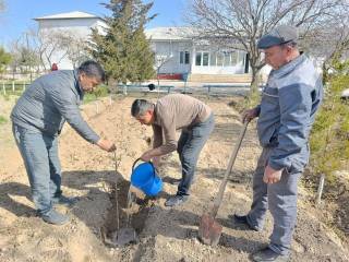 Ekologik tarbiyaning hayotiy va ta’sirchan namunasi