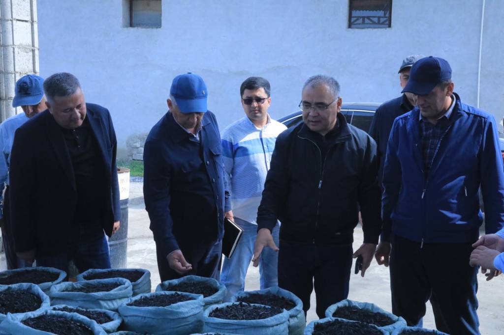 Ёзёвонда чигит рангли плёнка остига экилмоқда