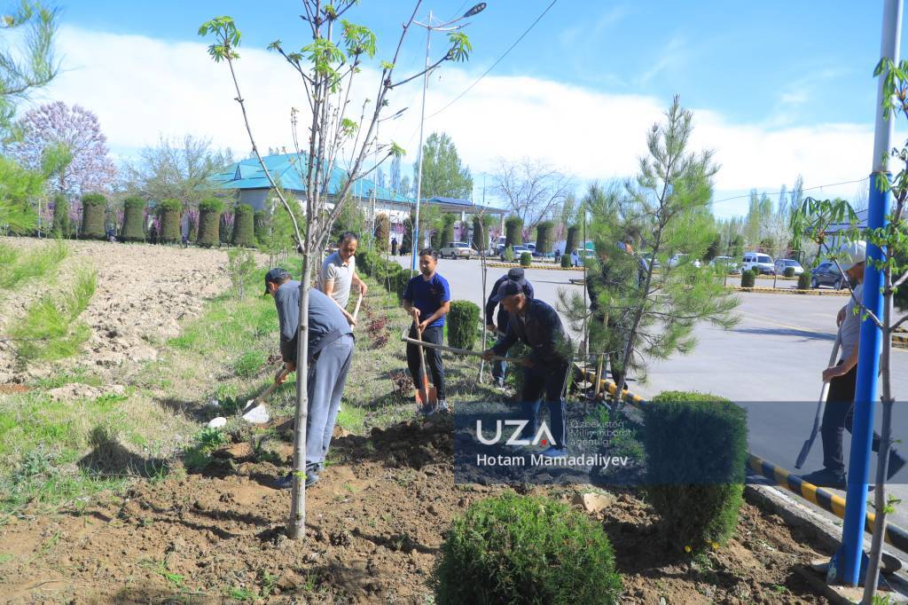 Ҳашар – миллий анъаналар ва ҳамжиҳатлик ифодаси