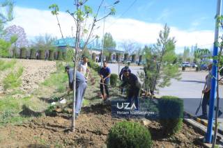 Ҳашар – миллий анъаналар ва ҳамжиҳатлик ифодаси