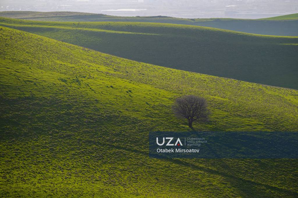 Бўстонлиқда кўклам жозибаси