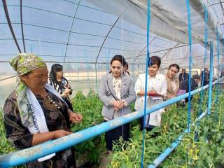 Хотин-қизлар бандлиги ҳолати ўрганилди