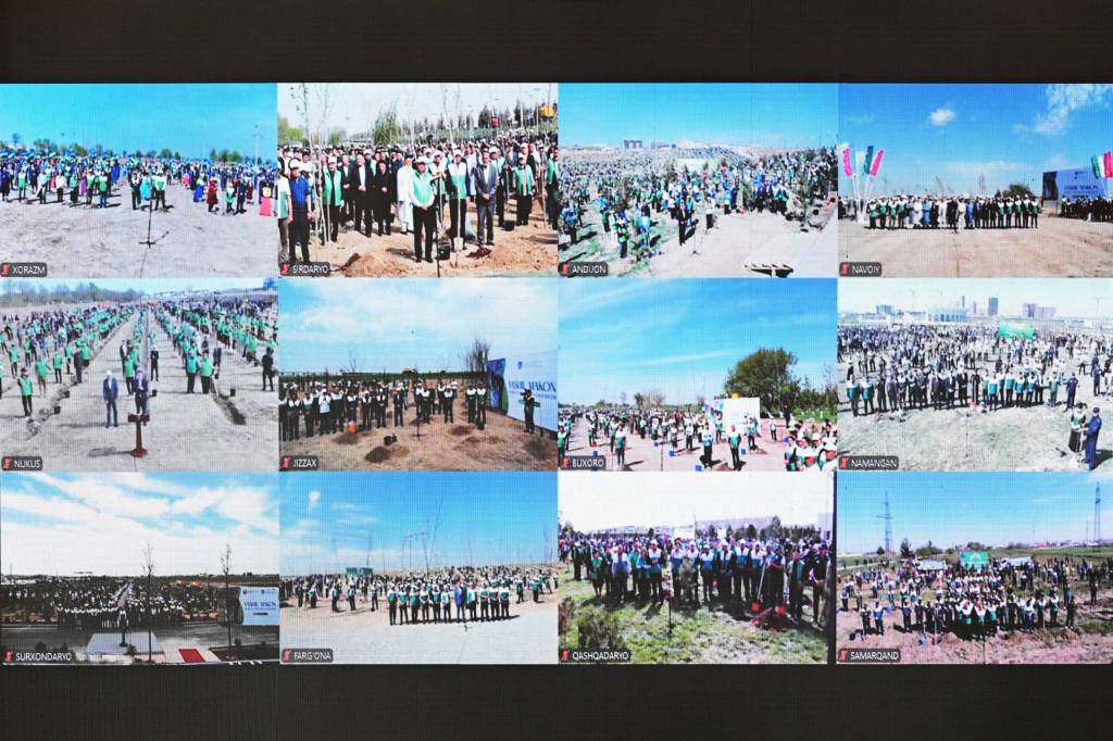 Hududlarda yashil bog‘lar yaratish bo‘yicha aholi va deputatlar ishtirokini yanada kengaytirish taklif qilindi