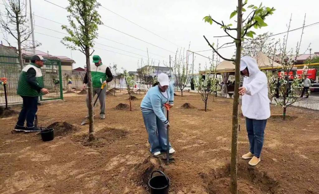 Жорий йилда пойтахтимиз бўйлаб 236 мингдан ортиқ кўчат экилди
