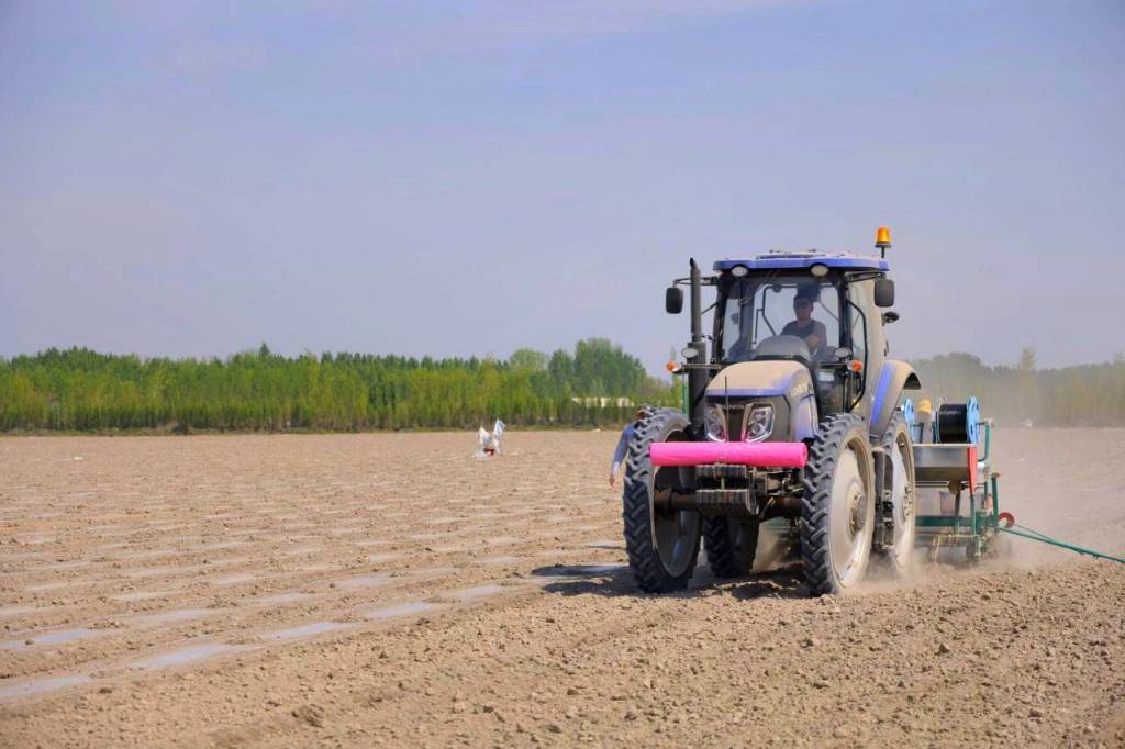 Вазир чигит экиш жараёнлари билан танишди