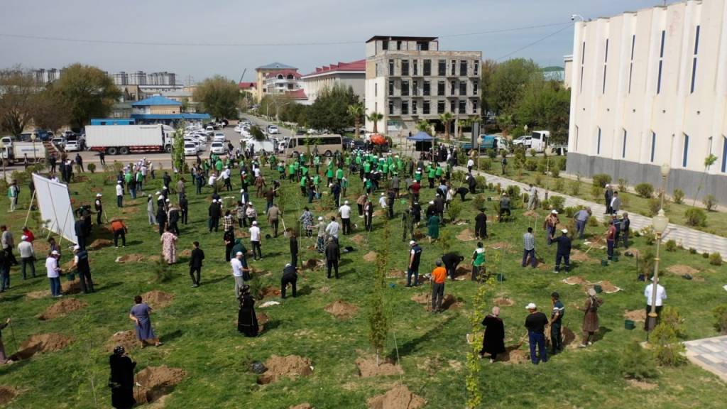 Qashqadaryoda “Yashil makon” doirasida ko‘chat ekish tadbirlari o‘tkazildi