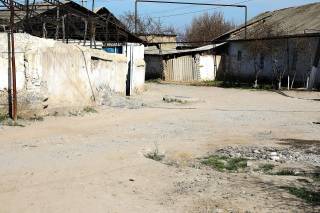 "Tashabbusli byudjet": deputatlar qaysi loyihalarni tanladi?