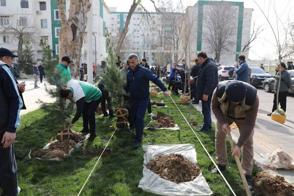 Har bir daraxt  – nafas olish uchun toza havo, har bir ko‘chat – kelajak uchun qo‘shilgan qiymat