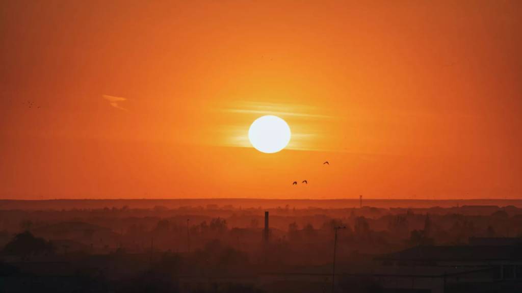 Markaziy Osiyo atrof-muhit va iqlim o‘zgarishini o‘rganish universiteti (Green University) va "yashil" texnikumlarda o‘qish amaliyot bilan uzviy bog‘liq olib boriladi