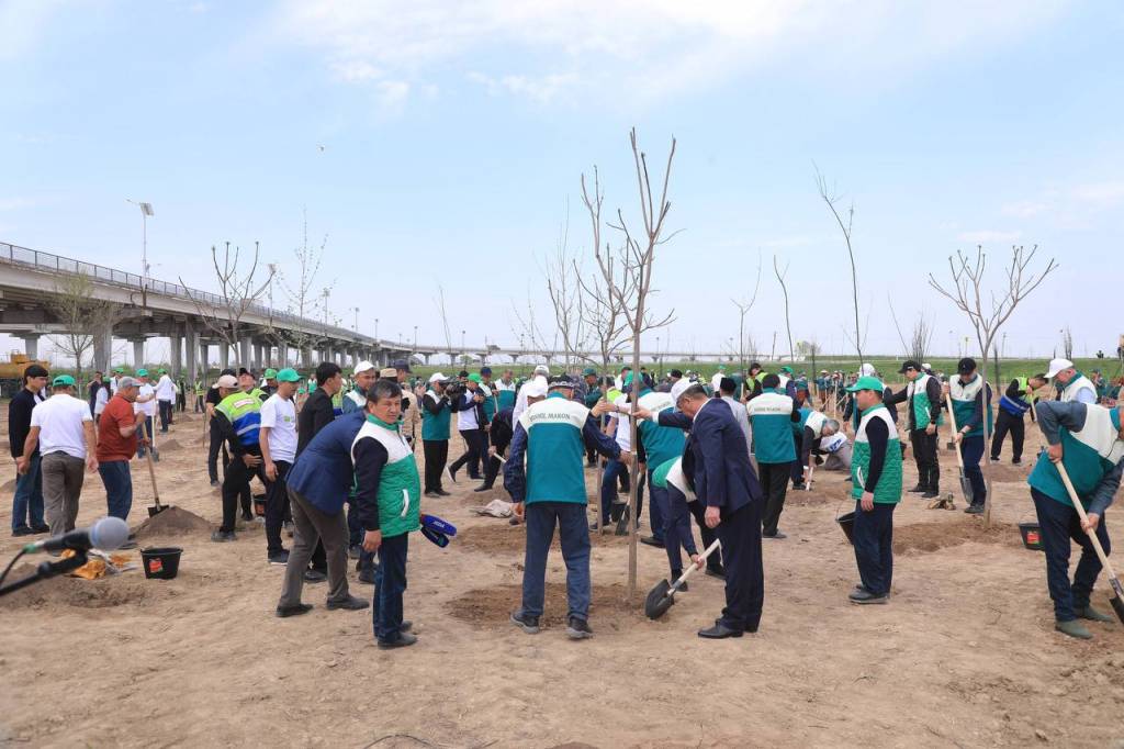 Jizzaxda “Yashil makon”: 4200 tup ko‘chat ekildi