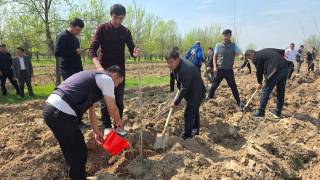 “Mening maktabim — yashil maskan” tashabbusi keng quloch yoymoqda