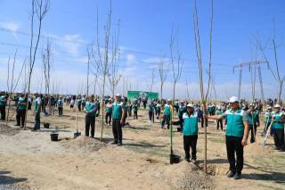 "Яшил макон" ҳаракати Фарғонани қоплаб олди