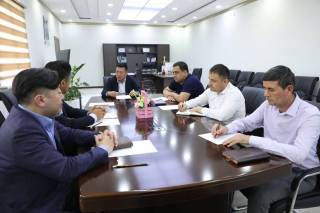 Yapon investorlari Gulistonda kivi yetishtirishni yo‘lga qo‘yadi