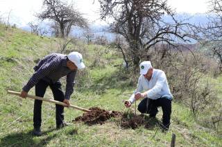 “Яшил макон” дастури доирасида яшил ҳудудлар кенгаймоқда