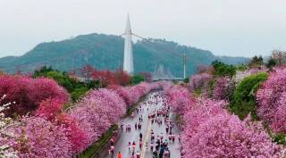 Лючжоу марафони экологик тараққиёт ва халқаро ҳамкорлик тимсоли