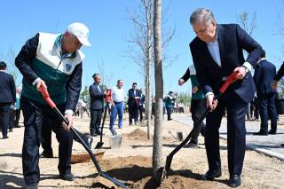 Ўзбекистонда иқлим учун илмий жанг ёхуд дендрология боғлари бизга нима беради?